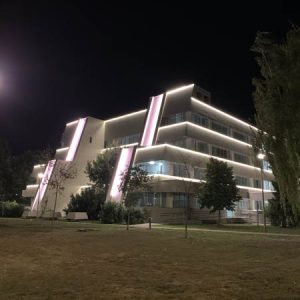 Javno i dekorativno osvetljenje, Struja Novi Sad