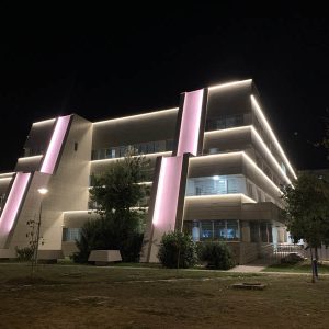 Javno i dekorativno osvetljenje, Struja Novi Sad